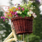 basket-with-flowers2