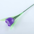 Tulip Path Light – Purple