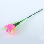 Tulip Path Light – pink