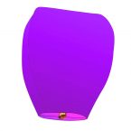 chinese lantern – purple