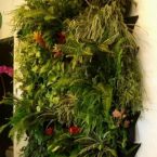 hanging wall planter – blooming